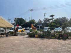 -头上红煨盐鸡·非遗院子餐厅