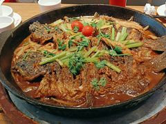 -老板恋上鱼(恒隆广场店)