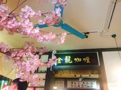 -金龙咖喱