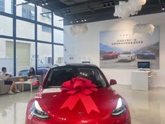 -TESLA 特斯拉(深圳观澜特斯拉直营钣喷中心)