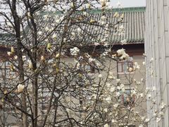 -中国中医科学院西苑医院(本部)