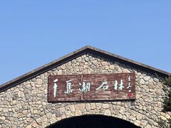 -千岛湖石林