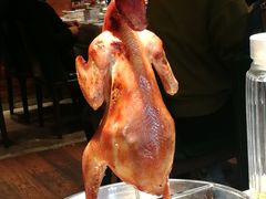 -五稻厨房粤西菜(新闻店)