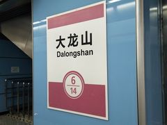 -大龙山(地铁站)