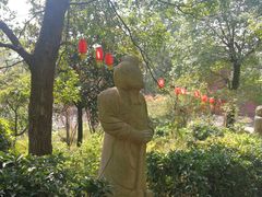 -湖南嵩云山国家森林公园