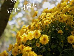 -杭州植物园