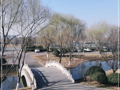 -西安浐灞国家湿地公园