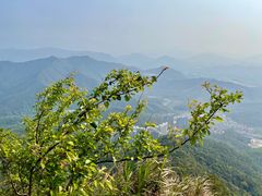 -梧桐山风景名胜区