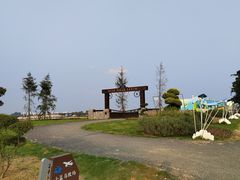 -空港花田景区