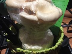 -牛很鲜潮汕牛肉火锅(朝晖路店)