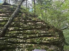 -汤旺河林海奇石景区