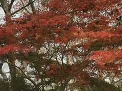 -蠡湖中央公园