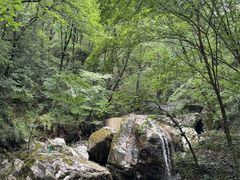 -牛背梁国家森林公园