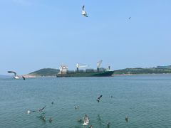-海驴岛(荣成市)