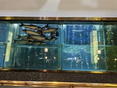 -顺峰顺水顺德菜(龙华店)