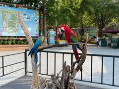 -北京野生动物园