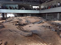 -自贡恐龙博物馆