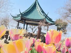 -无锡梅园公园