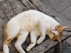 -嘻哈壹笑堂相声茶馆(大儒巷店)