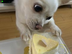 -檬舒舒MonChouChou(久光百货店)