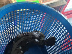 -真浪大家乐海鲜餐馆