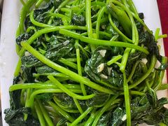 -麻奢鸽农庄·梦里水乡