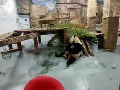 -无锡动物园·太湖欢乐园