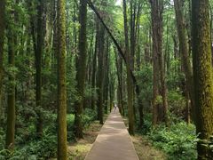 -同里国家湿地公园
