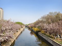 -海棠花溪(元大都城垣遗址公园)