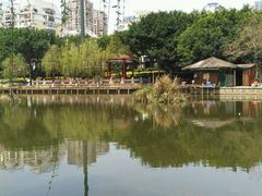 android_upload_pic-光明港公园