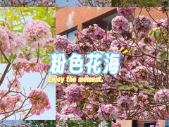 -三水森林公园