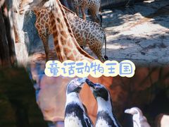 -长鹿旅游休博园