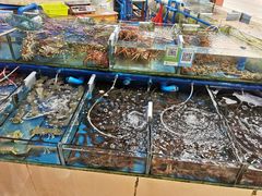 水产区-鸿港海鲜批发市场