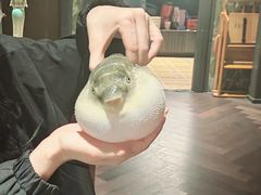 -肆月河豚·淮扬菜·湘菜(华天店)