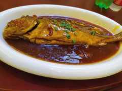 红烧大黄鱼-杨正宗烤全羊(北二环店)