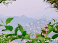 -崂山巨峰游览区