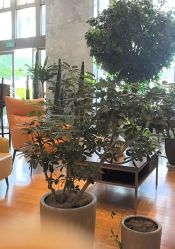 -侒悦缦月子中心·疗愈园区(龙岗店)