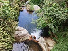 -雁南飞茶田景区