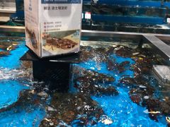 -盒马鲜生(领丰汇店)