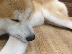 -YCHL Studios健身工作室(市二宫店)