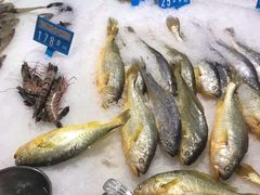 -麦德龙(郑东店)