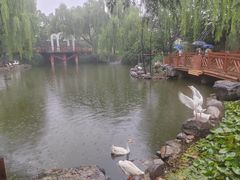 -天毓山庄·餐厅