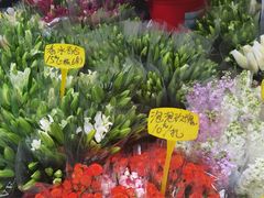 -循礼门鲜花花市(武汉循礼门店)