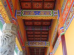 -铁山坪森林公园