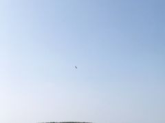 -苏州太湖湖滨国家湿地公园