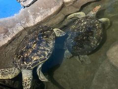 -厦门海底世界