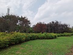 -贵阳市花溪国家城市湿地公园