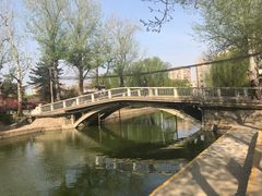 -团结湖公园