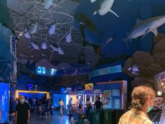 -烟台海昌鲸鲨海洋公园