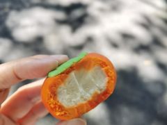 -韬光茶庵
